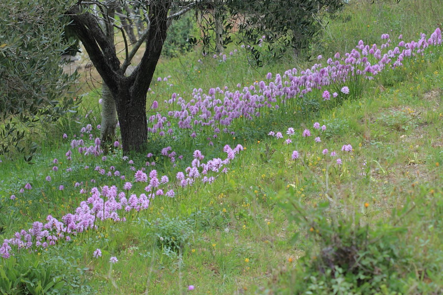 Breve incursione nella toscana meridionale (GR)